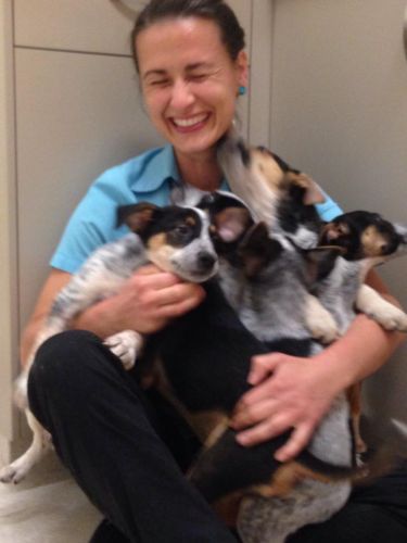 Pacific Vetcare - Education Perth 7