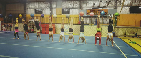 Gosford Gymnastics - Education Perth 0