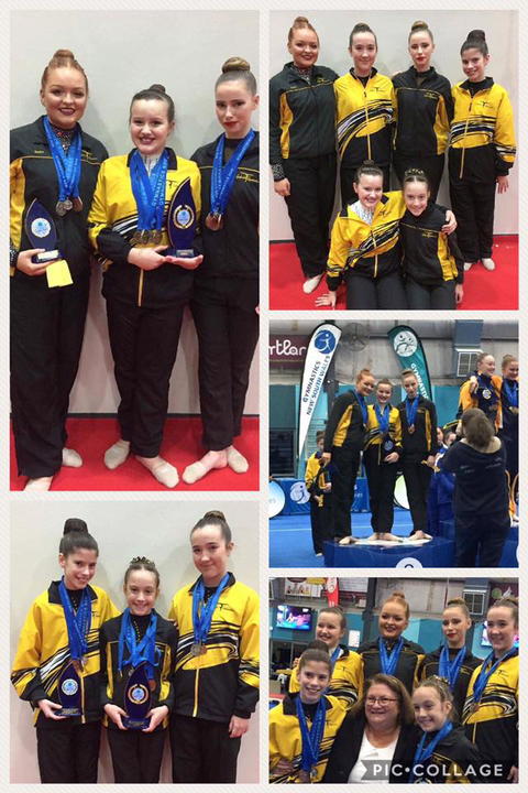 Gosford Gymnastics - Education Perth 2