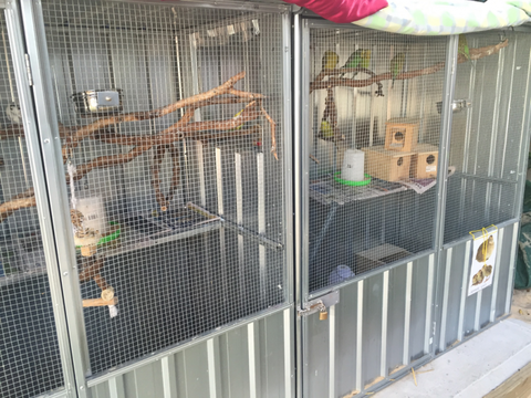 TLC Early Learning Centre - Education Perth 0