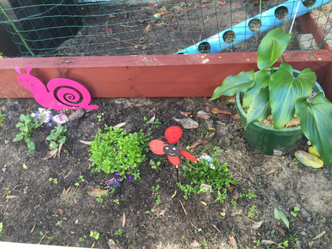 TLC Early Learning Centre - Education Perth 3