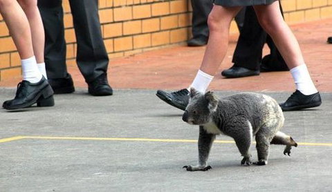 St Philip’s Christian College - Education Perth 2