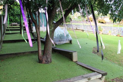 Blackbutt NSW Education Perth