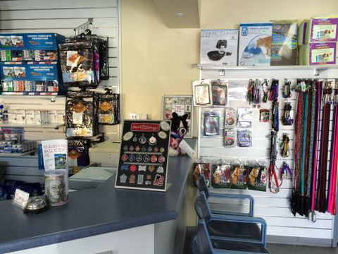 Albion Park Veterinary Hospital - Education Perth 1