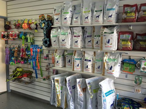Albion Park Veterinary Hospital - Education Perth 2