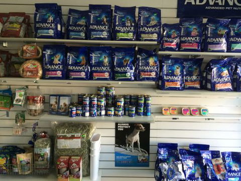 Albion Park Veterinary Hospital - Education Perth 3