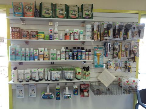 Albion Park Veterinary Hospital - Education Perth 4