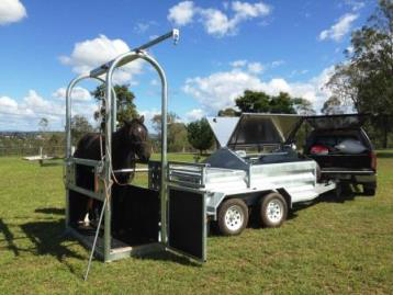 Tamworth Veterinary Hospital - Education Perth 1