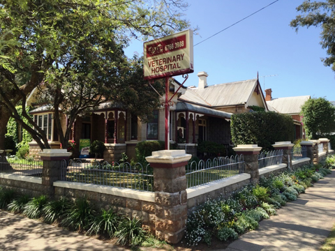 Tamworth Veterinary Hospital - Education Perth 2