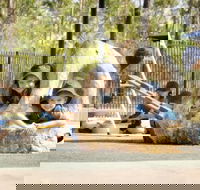 Good Shepherd Lutheran College NT - Education Perth