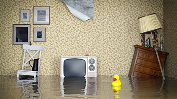 Tourism Listing Partner Insurance Yet