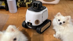 AI robot may stop your dog from barking while you're gone Education Perth