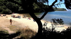 Deadly mystery unfolds as canoeists are found unresponsive after midnight trip Education Perth