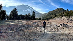 Mount Shasta climber recounts harrowing 500-foot slide, overnight crawl to safety: report Education Perth