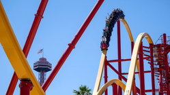 Popular amusement park bans guest for life after roller coaster stunt viral video Education Perth