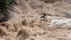 Tourists cling to each other in desperate struggle as raging flood sweeps them down waterfall Education Perth